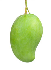 fresh green mango fruit isolated on white background