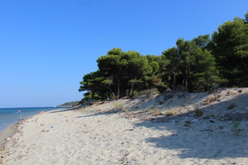 Lagoon Beach in Cassandra