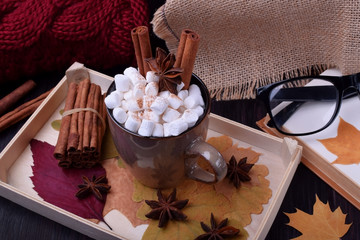 Hot chocolate with marshmallows, cinnamon and anise on a wooden tray with dry leaves scattered...