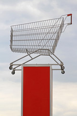 Big Shopping Cart
