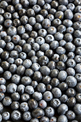 Ripe blueberries on dark background, overhead view. Summer berry. Top view, from above.