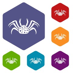 Live crab icons set hexagon isolated vector illustration