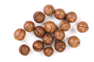 unshelled macadamia nuts isolated on white background. Top view. Flat lay pattern