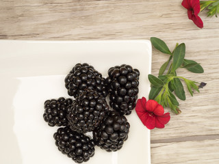 6 Brombeeren auf Teller mit 2 Roten Blüten