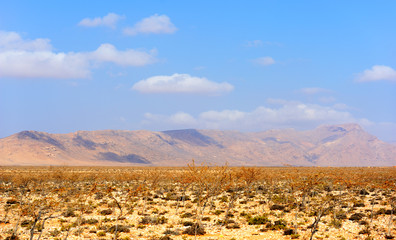  Pictorial landscape of the Socotra island,Yemen