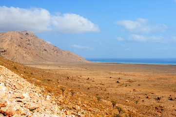  Pictorial landscape of the Socotra island,Yemen