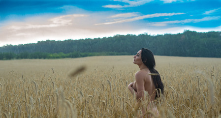 girl in a wheat field in the rain © Maestro7