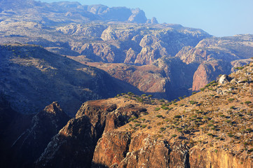 Plateau Dixam in Socotra island, Yemen