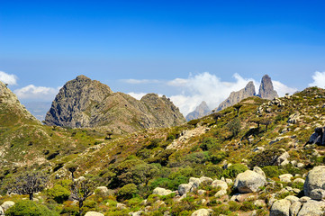  Pictorial landscape of the Socotra island,Yemen