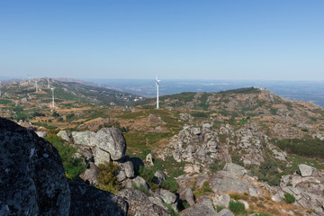 Fototapeta premium Landscape Wind turbines