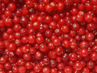 Rote Johannisbeeren	