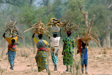 Le Mali, famille africaine, bois sur la tête, tenues traditionnelles colorées, Pays Dogon, Mali,...