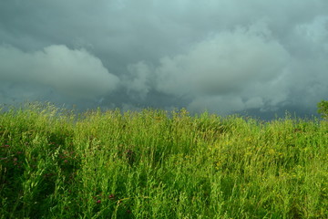 green grass and stormy sky