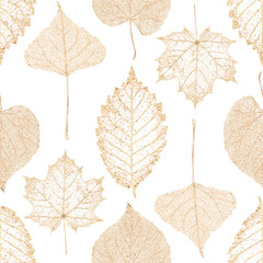 Transparentes Goldskelett lässt nahtloses Muster des Herbstes