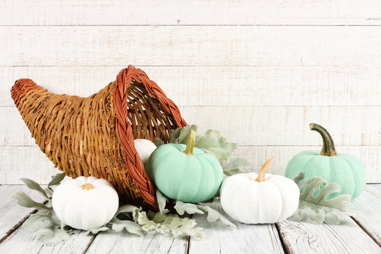 Thanksgiving cornucopia filled with white and teal pumpkins against a white wood background