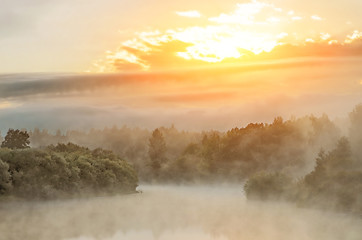 Morning on the river early morning reeds mist fog and water surface on the river