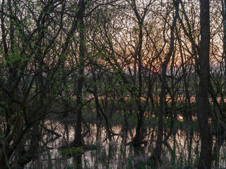 Holland nature of Giethoorn and Weerribben.