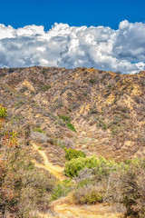 Trails up hillsides to white clouds from recent rain