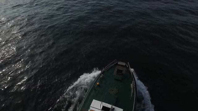 Crazy Ferry in İstanbul
