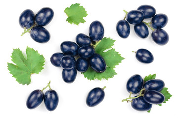 blue grapes isolated on the white background. Top view. Flat lay pattern