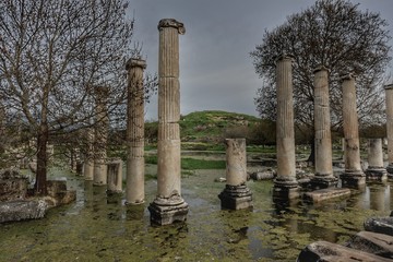 Afrodisias Antik Kenti