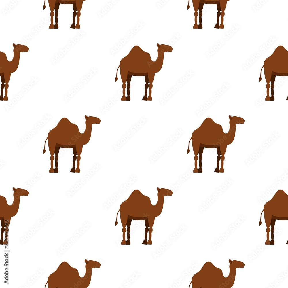 Poster dromedary camel pattern seamless background in flat style repeat vector illustration
