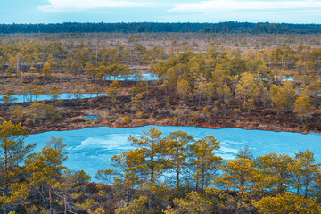 Big swamp wetlands Kemeri national park, Latvia