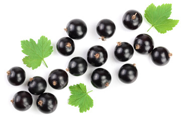 black currant with leaves isolated on white background with copy space for your text. Top view....