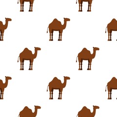 Dromedary camel pattern seamless background in flat style repeat vector illustration