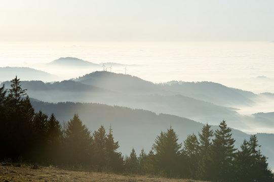 black forest / Kandel in autumn