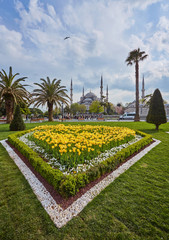 Blue Mosque on background the blue sky on clear day, Istanbul