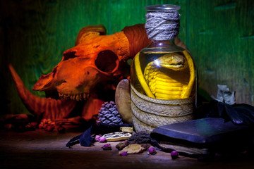 Snake cobra in the bottle, ram skull, old books, dry rose and crow quill on old wooden desk....