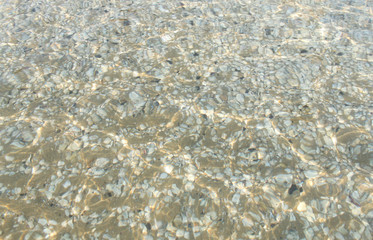 texture di conchiglie sott'acqua nel Mare Adriatico