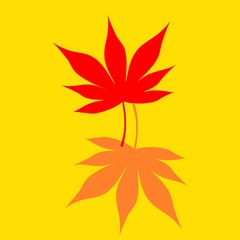 frame of momiji leaves 