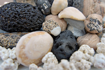 lava stones and shells shot close up