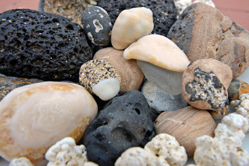 lava stones and shells close-up