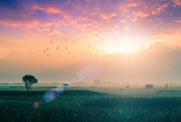 World environment day concept: Dramatic valley sky autumn sunset mountain background	