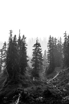 Myst