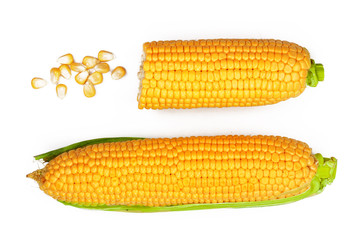 ear of corn isolated on a white background. Top view. Set or collection