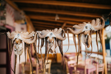 Octopuses hanging at the restaurant of Paros island, Greece