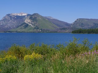 Beautiful scenery at Jackson Lake at the Grand Teton National Park in Wyoming.