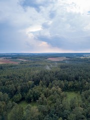 Flight over forest under cloudy sky. Drone photography