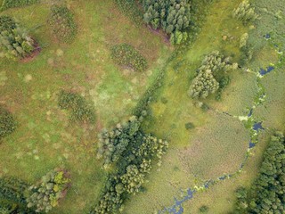 Beautiful green drone landscape with small wild river in forest