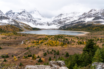 Mount Assiniboine is hidden in the clouds above Magog lake in BC
