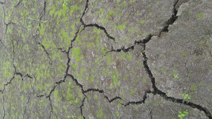 Earth