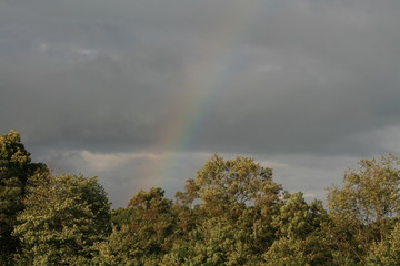 Rainbow2
