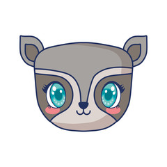 cute raccoon adorable character