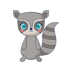 cute raccoon adorable character