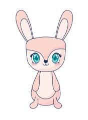 cute rabbit adorable character