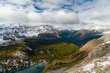 Valleys filled with larches during autumn in Canada 